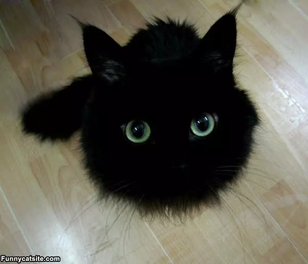 Just Eyes