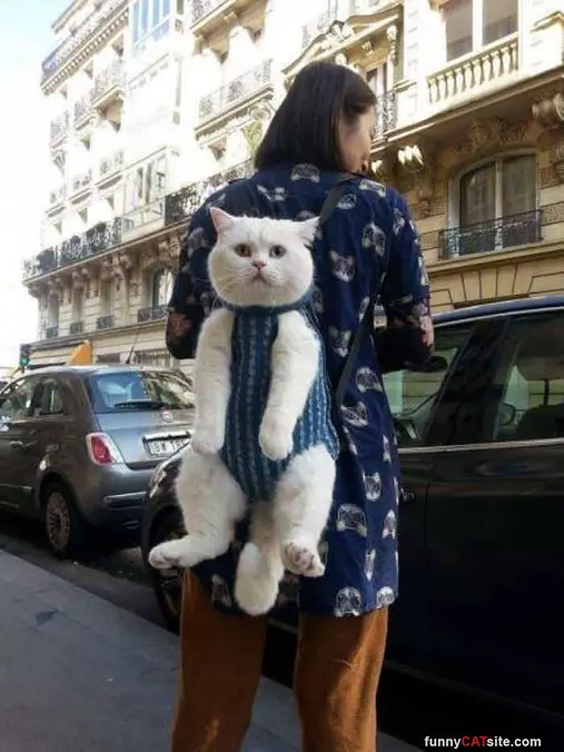 Backpacking