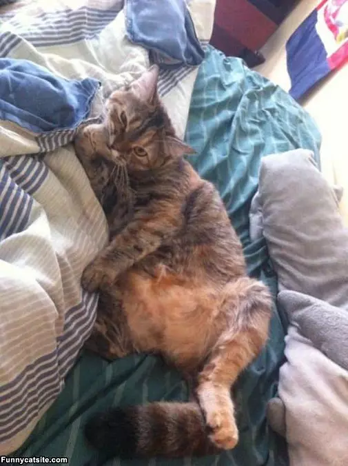 Not So Impressed