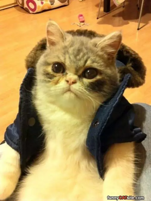 Got My Jacket On
