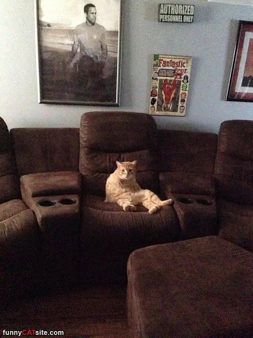 Watching A Movie