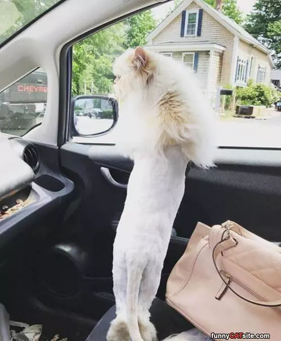 Out The Window