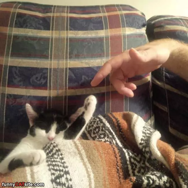Sleeping High 5