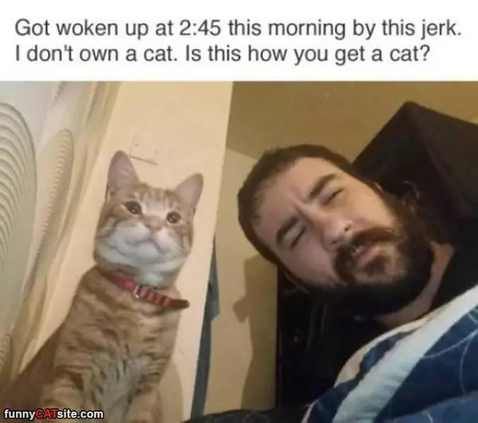 Got Woken Up This Morning