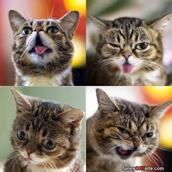 All My Faces