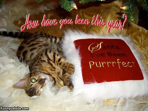 How Have You Been This Year