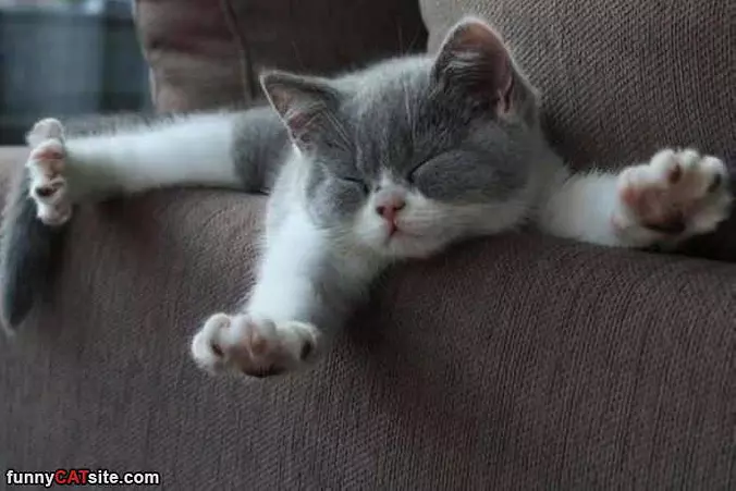 Stretchhhh