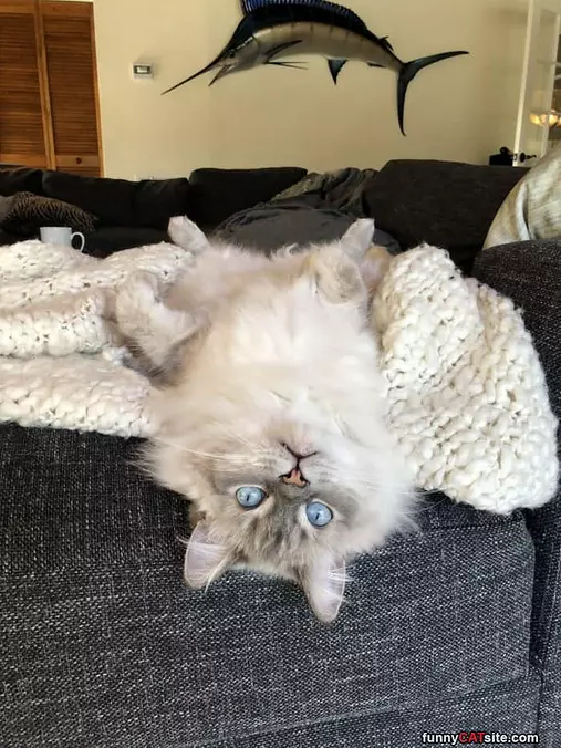 Ready To Relax