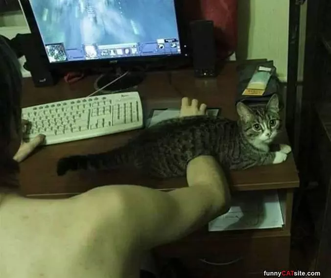 Good Place To Sit