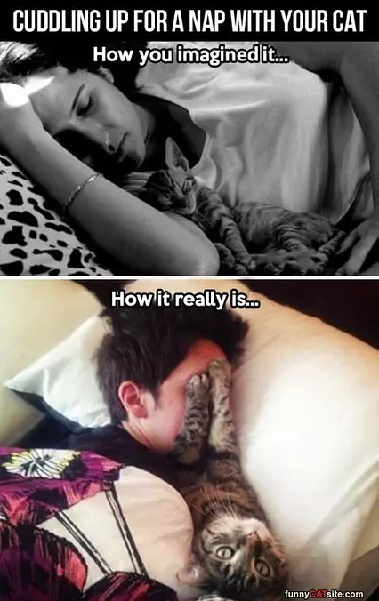 Cuddling With The Cat