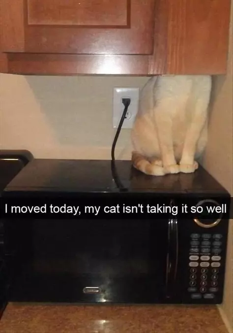 Not Enjoying The Move