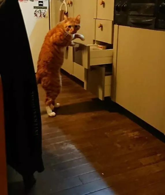 Totally Busted