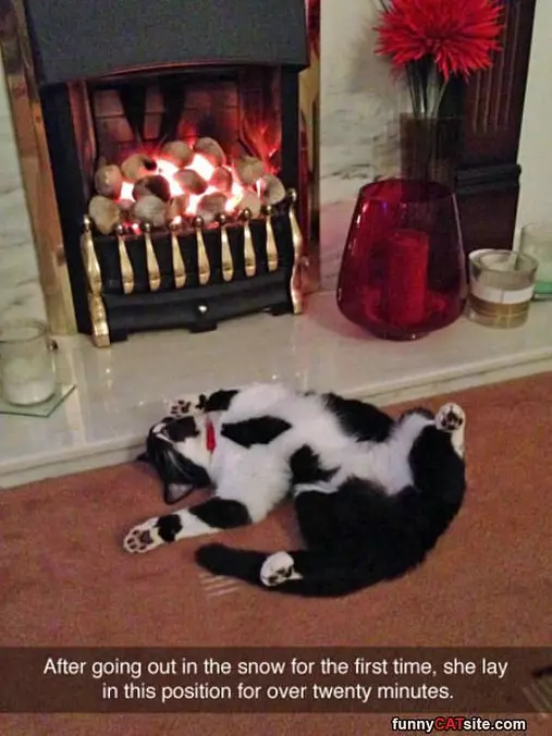 Need A Nap Now