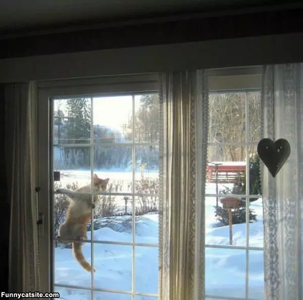 Hey Let Me In Let Me In