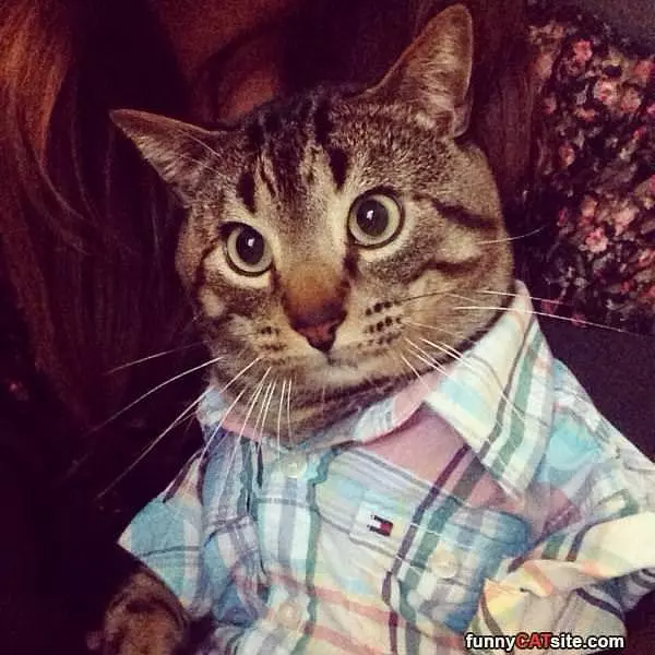 My Picture Shirt