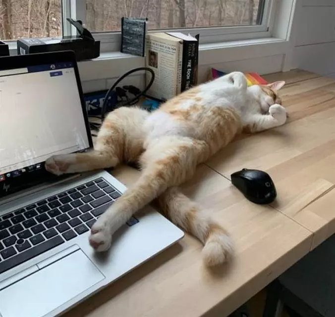 Super Relaxed On My Back