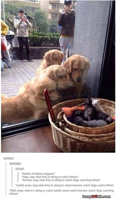 Everyone Is Watching