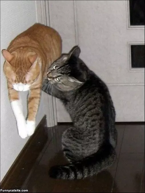 I Hold You Here