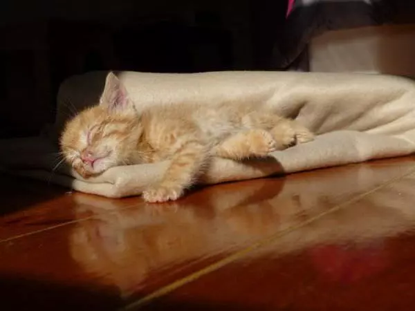 Nap Time