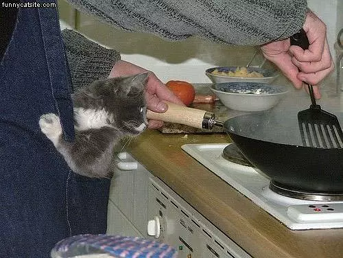 Time For Dinner
