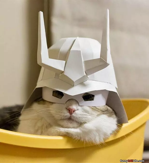 I Am A King