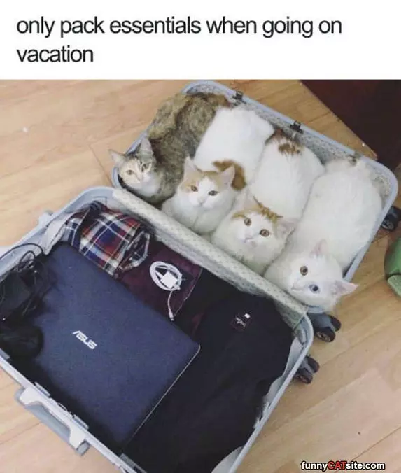 Always Pack Essentials