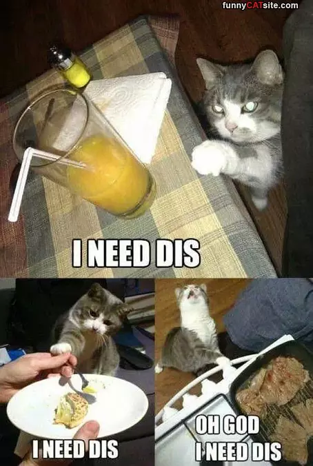 I Need Dis