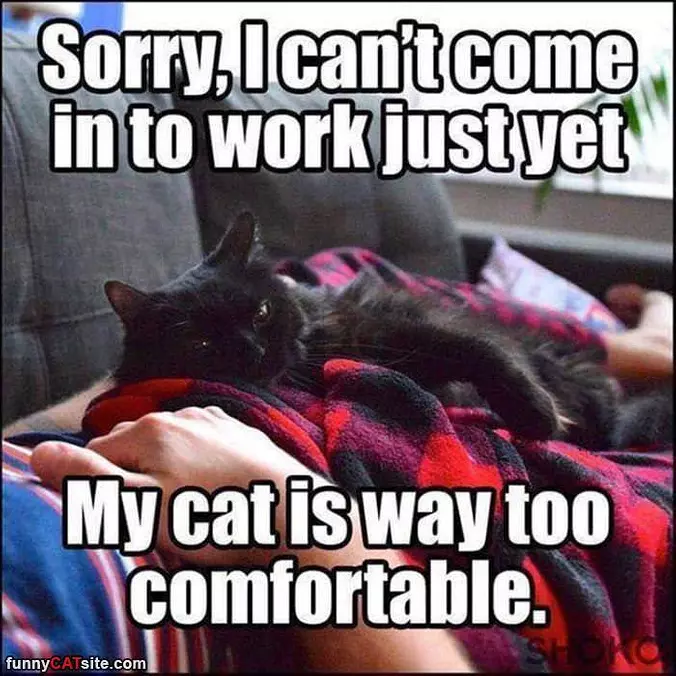 I Cant Come In Just Yet