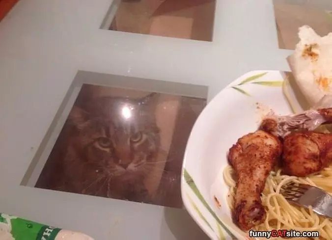 I Am Watching You