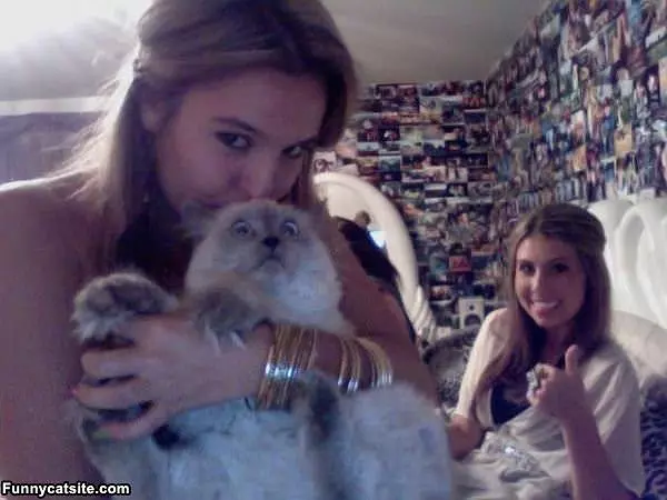 Get Me Out Of Here Cat
