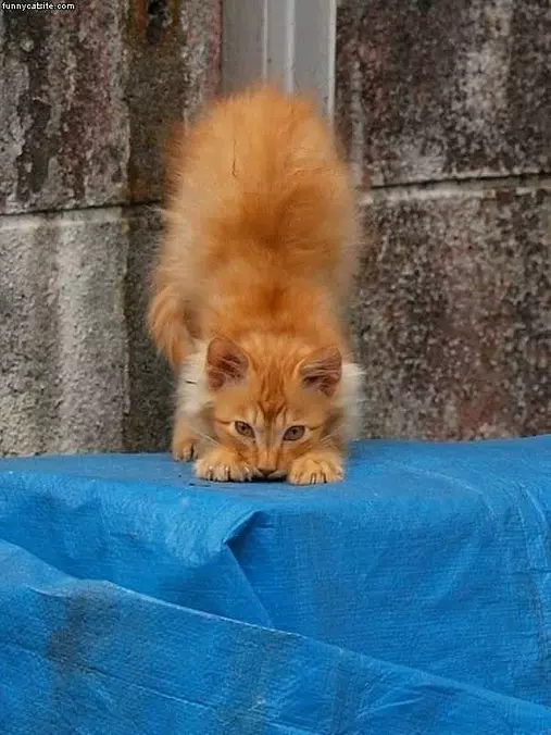 Ready For Lift Off