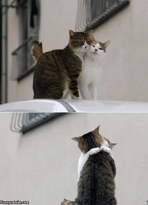 Lets Have A Hug