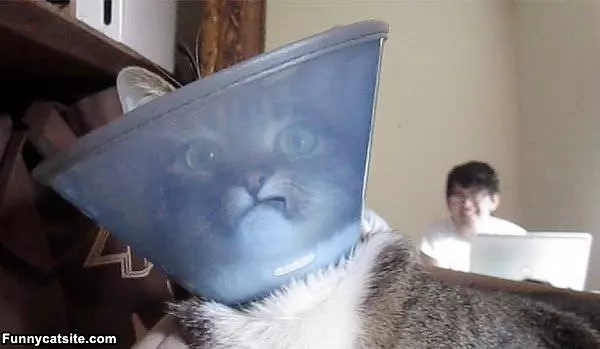 What-you-looking-at