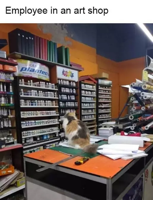 Art Shop