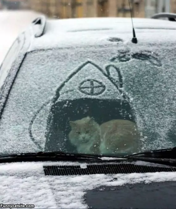 Cat House