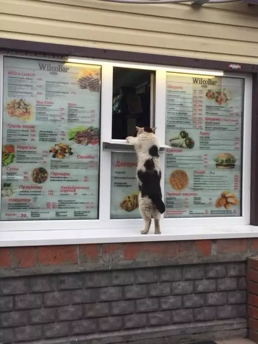 Hey Give Me Some Stuff