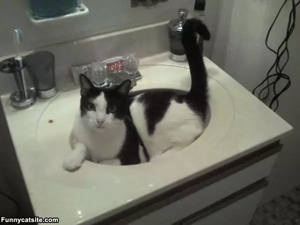 I Love My Sink