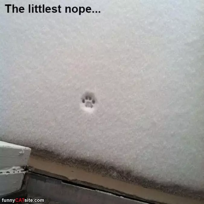 Just The Little Nope