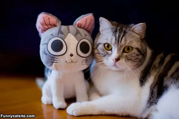 I Have Big Eyes