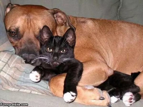 True Love