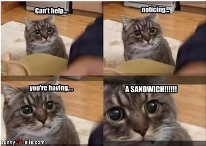 Cannot Help But Notice