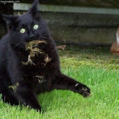 Caught With Grass