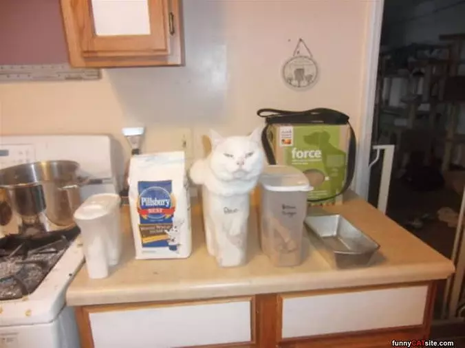 I Am Flour Now