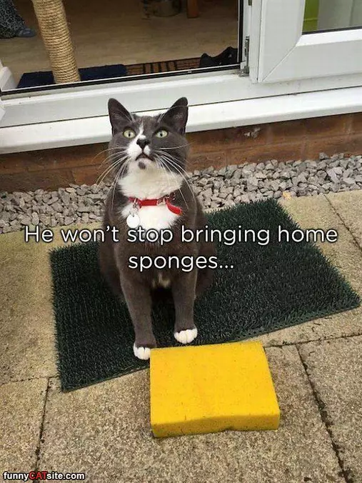 Bring Home Some Gifts