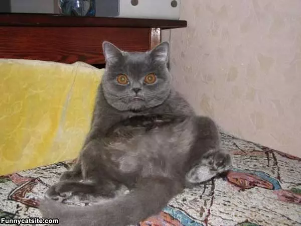 What Was That Noise