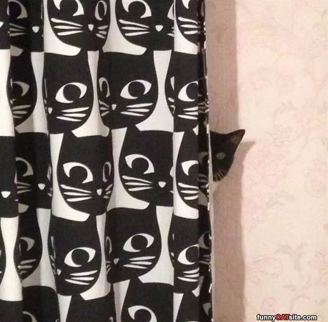 Peaking Out