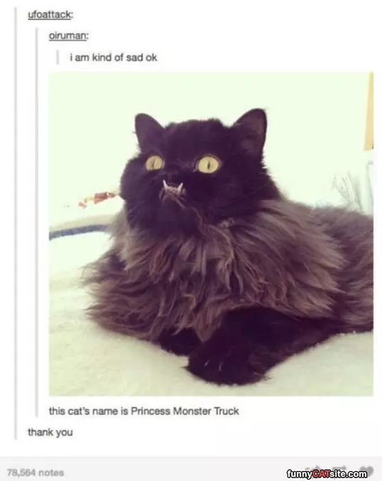 Princess Monster Truck