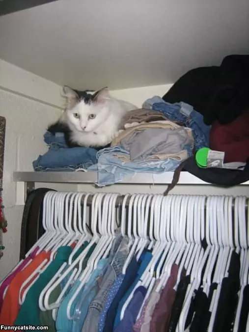 My Favorite Spot