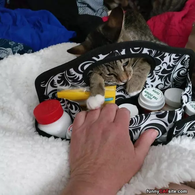 Hey Can I Fist Bump