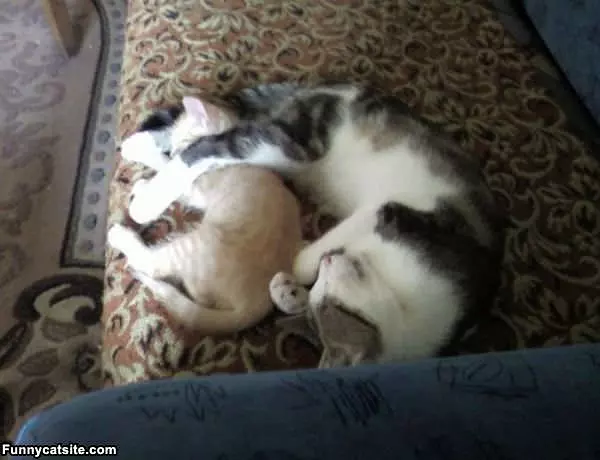 Sleep How I Want